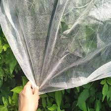 Crop Protection